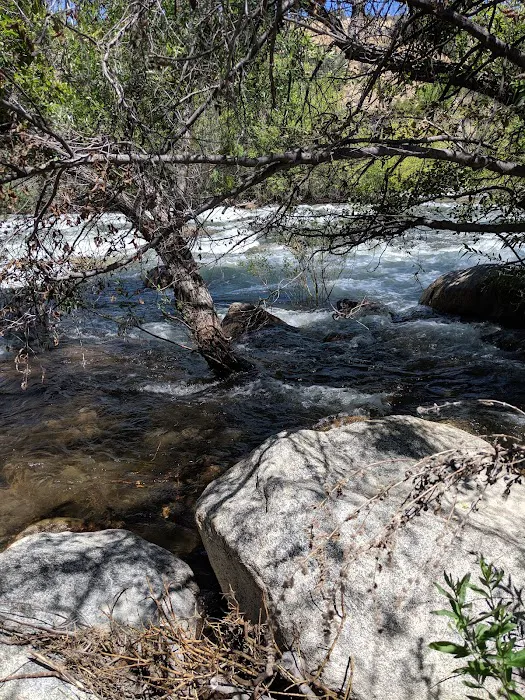 Hospital Flat Campground 7