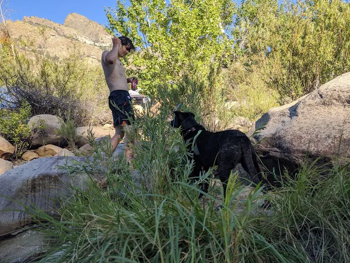 Hospital Flat Campground 5