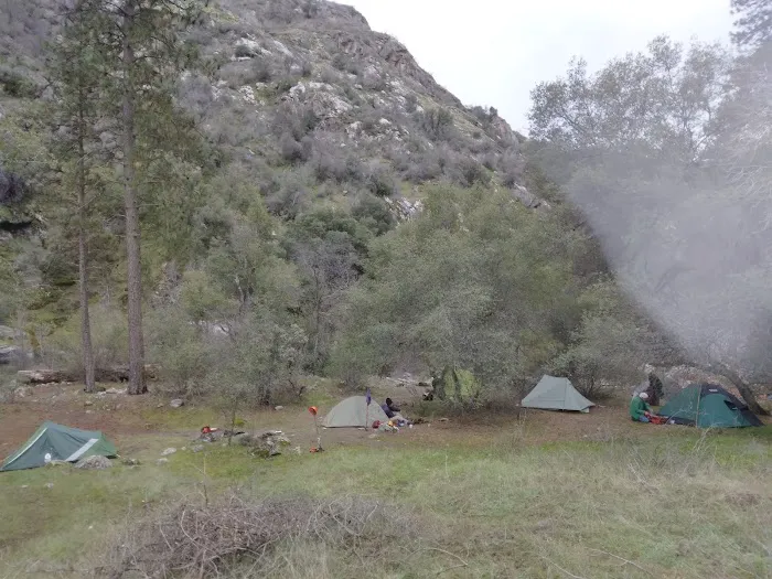 2nd Pines Campsite 0