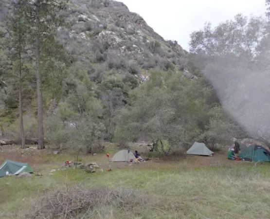 2nd Pines Campsite