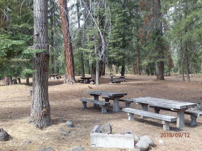 Sawmill Flat Campground 0