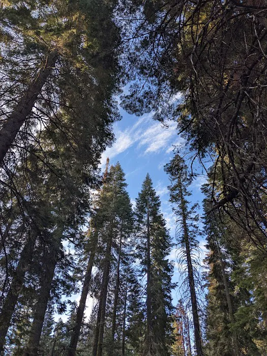 Sawmill Flat Campground 3