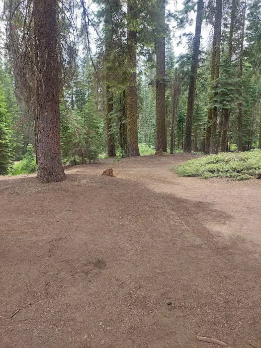Sawmill Flat Campground 2