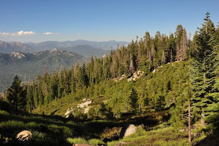 Quaking Aspen Campground 2