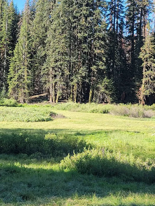 Quaking Aspen Campground 7