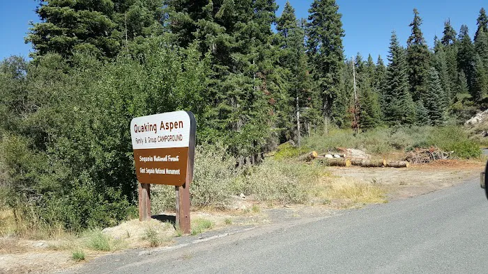 Quaking Aspen Campground 3