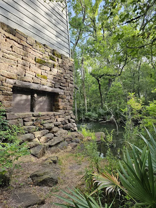 Palmetto State Park RV Campground 7
