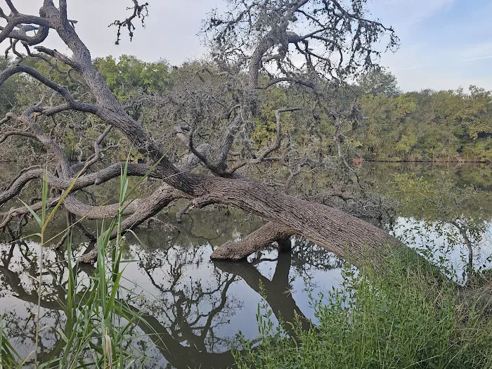 Palmetto State Park RV Campground 5