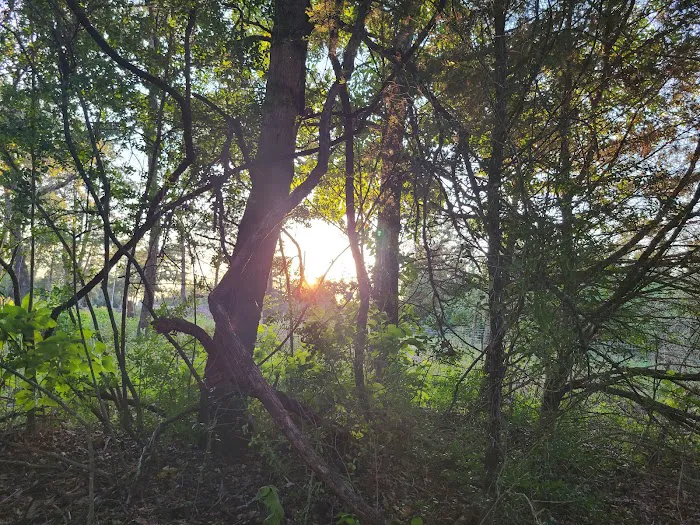 Enchanted Oaks Campground 6