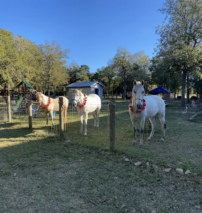 White Horse Ranch and Camping 6
