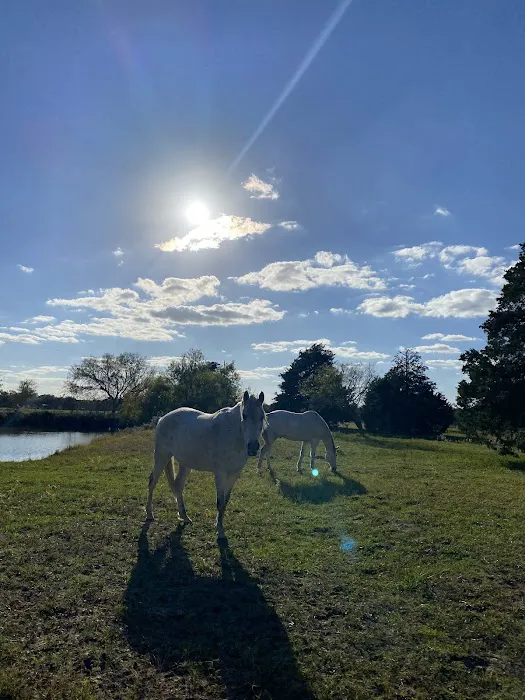 White Horse Ranch and Camping 4