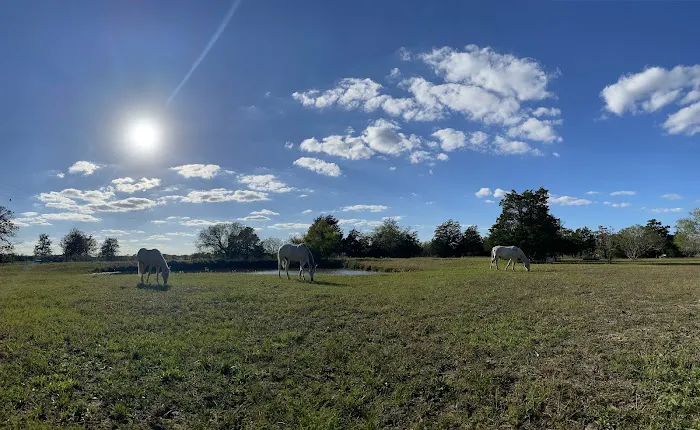White Horse Ranch and Camping 3