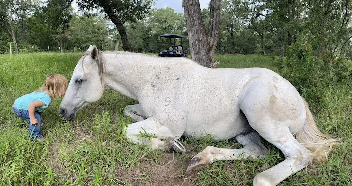 White Horse Ranch and Camping 0