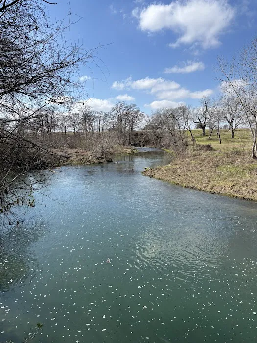 San Marcos River Campground 0