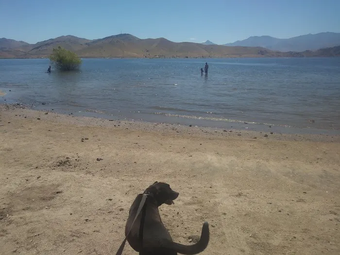 Tillie Creek Campground 6