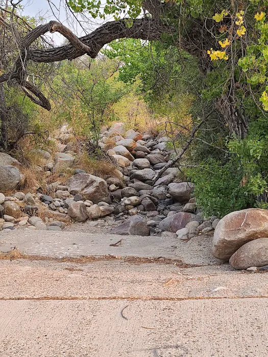 Tillie Creek Campground 5