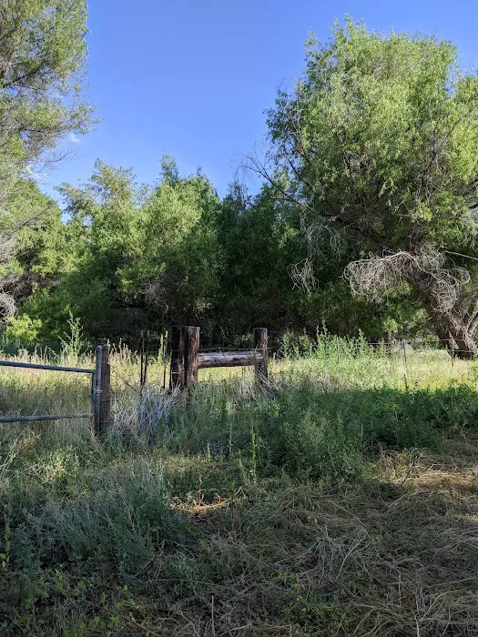 Hanning Flat Dispersed Area 5