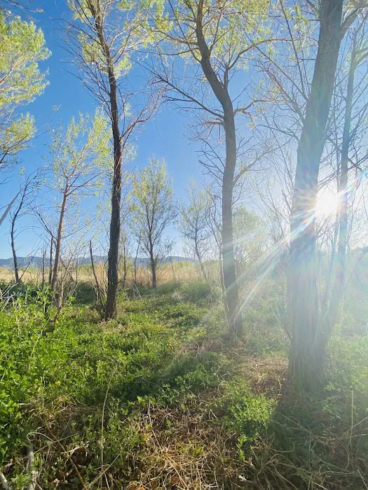 Hanning Flat Dispersed Area 3