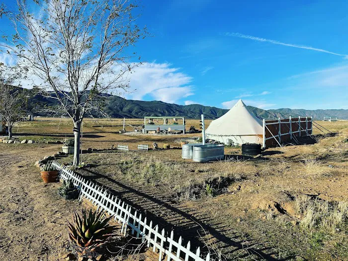 Cuyama Oaks Ranch 4
