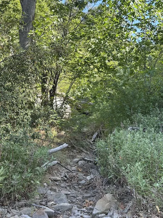Docs Spring Campground 1