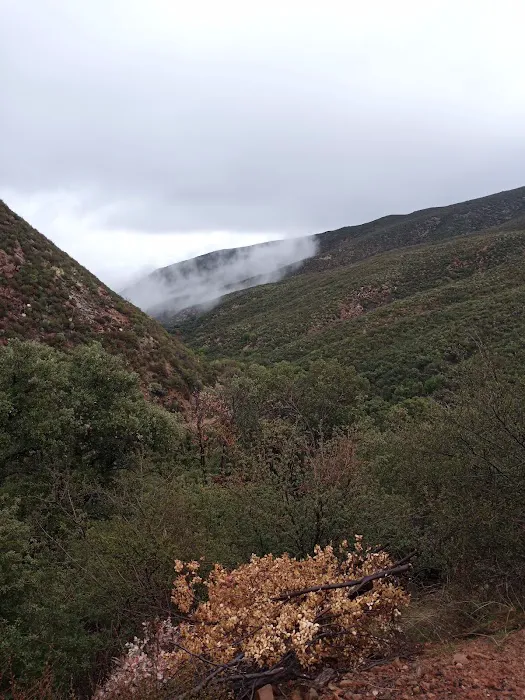 Docs Spring Campground 2