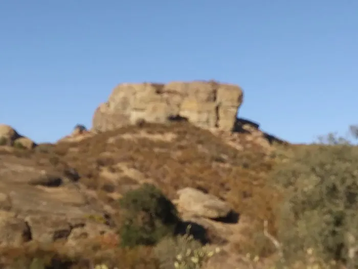 Buck Spring Campground 5