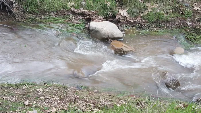 Aliso Park Campground 5