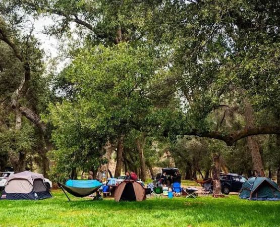 Aliso Park Campground