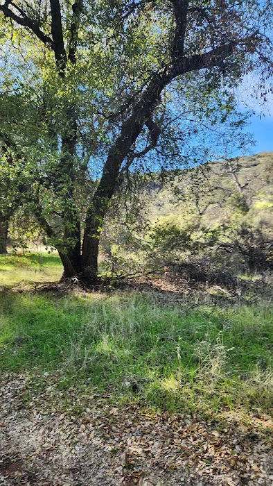 Aliso Park Campground 2