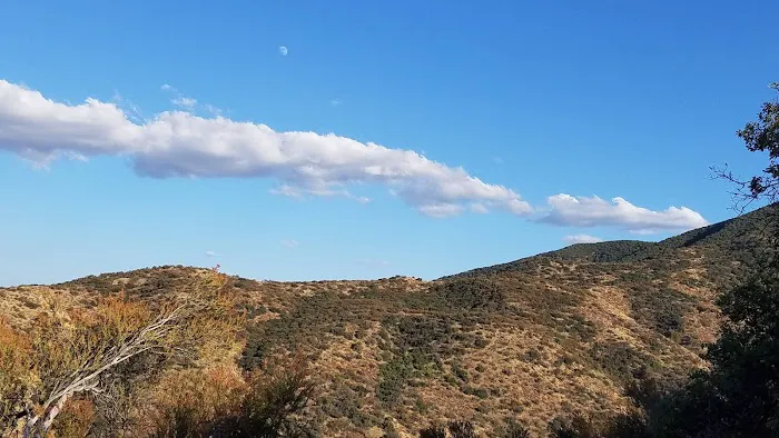 Aliso Park Campground 4