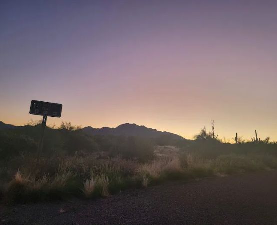 Rowland Campground At McDowell Mountain Park