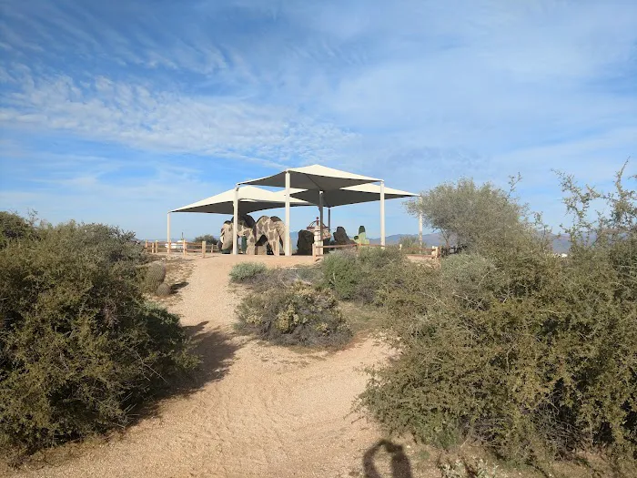Rowland Campground At McDowell Mountain Park 3