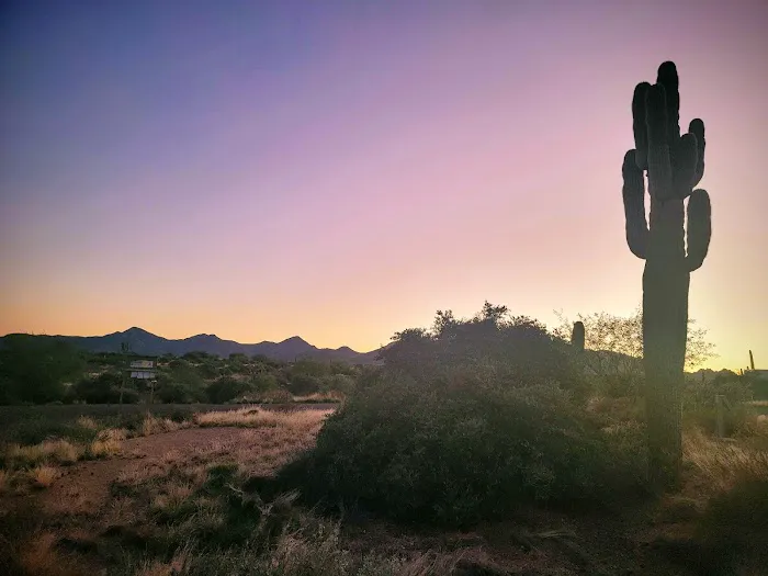 Rowland Campground At McDowell Mountain Park 1