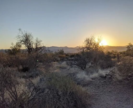 Ironwood Picnic Area and Campground