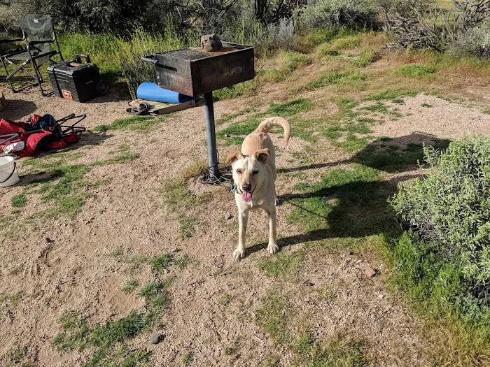 Ironwood Picnic Area and Campground 9
