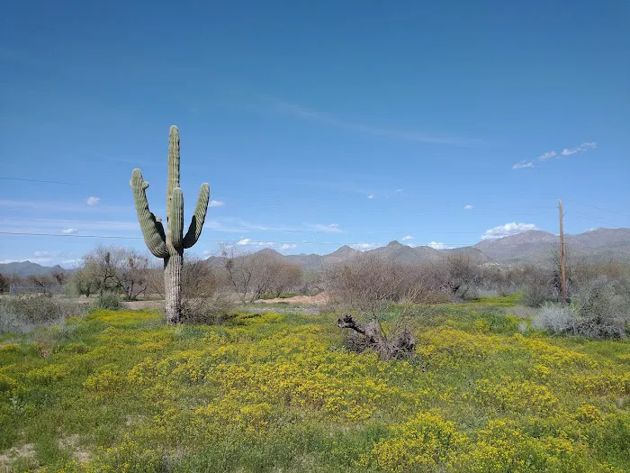Box Bar Recreation Area, Tonto National Forest 8