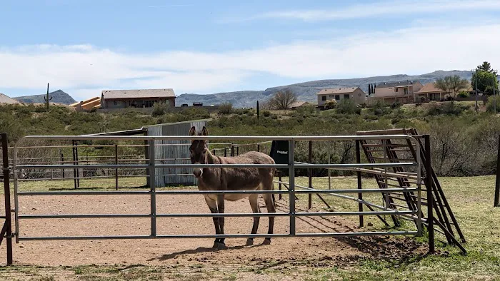 Box 8 Ranch 3