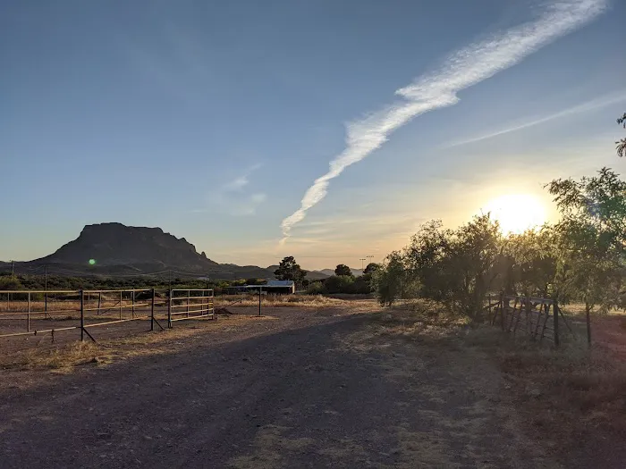 Box 8 Ranch 5
