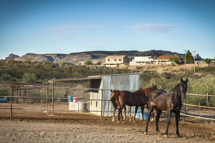 Box 8 Ranch 8