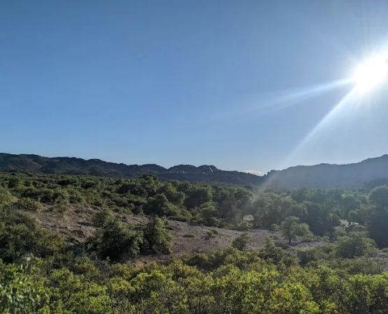 Oak Flat Campground