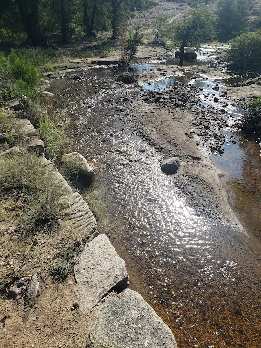 Oak Flat Campground 8