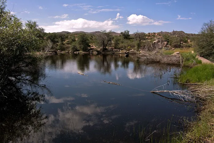 Oak Flat Campground 1
