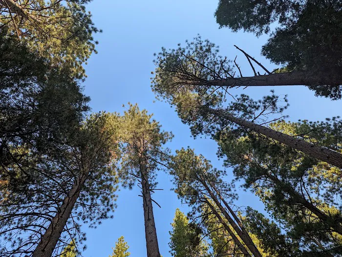 Logger Flat Group Campground 3