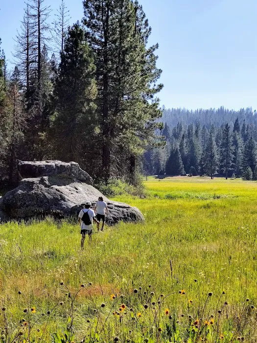 Logger Flat Group Campground 6