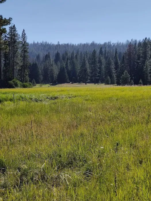 Logger Flat Group Campground 7