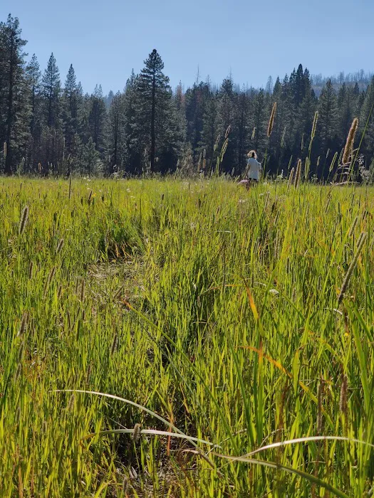 Logger Flat Group Campground 8