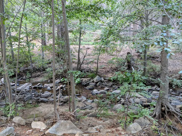 Logger Flat Group Campground 5