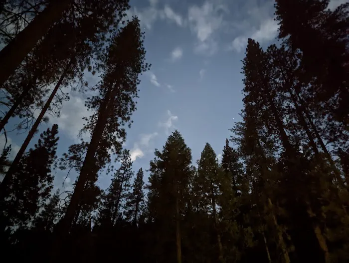Logger Flat Group Campground 4