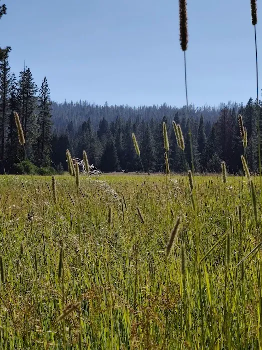 Logger Flat Group Campground 2