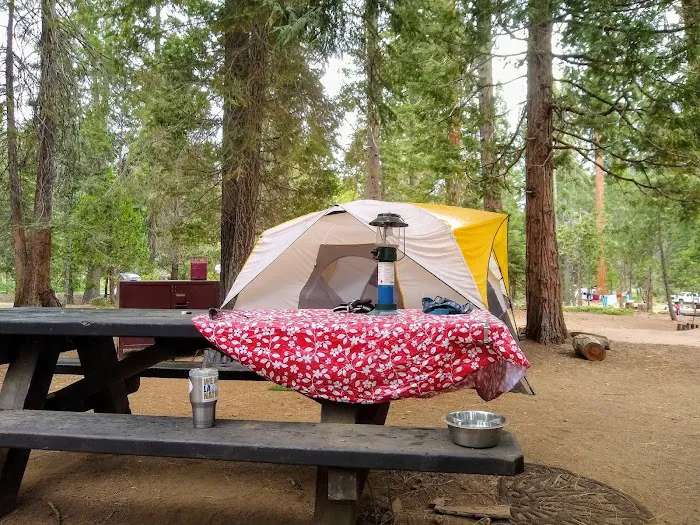 Princess Campground 4